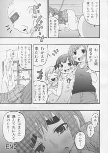 じゅうしょくしどう, 日本語