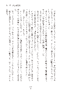 ハーレムダイナスト 新・黄金竜を従えた王国 下巻, 日本語