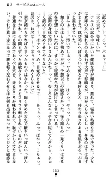 つよきす アナザーストーリー 近衛素奈緒の場合, 日本語