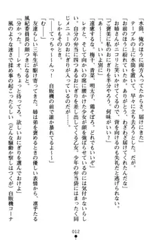 つよきす アナザーストーリー 近衛素奈緒の場合, 日本語