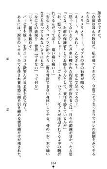 つよきす アナザーストーリー 近衛素奈緒の場合, 日本語