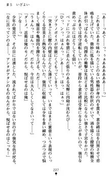 つよきす アナザーストーリー 近衛素奈緒の場合, 日本語