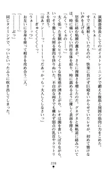 つよきす アナザーストーリー 近衛素奈緒の場合, 日本語