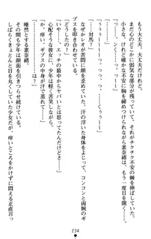 つよきす アナザーストーリー 近衛素奈緒の場合, 日本語