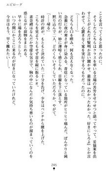 つよきす アナザーストーリー 近衛素奈緒の場合, 日本語