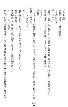 つよきす アナザーストーリー 近衛素奈緒の場合, 日本語