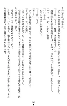 つよきす アナザーストーリー 近衛素奈緒の場合, 日本語