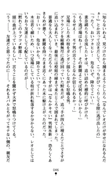 つよきす アナザーストーリー 近衛素奈緒の場合, 日本語