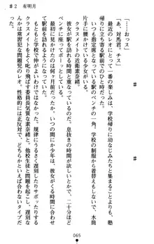 つよきす アナザーストーリー 近衛素奈緒の場合, 日本語