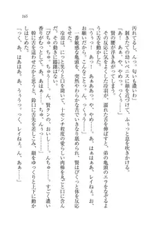 サムライガール～愛しさと切なさと, 日本語