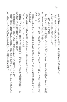 サムライガール～愛しさと切なさと, 日本語