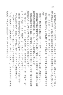 サムライガール～愛しさと切なさと, 日本語