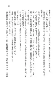 サムライガール～愛しさと切なさと, 日本語