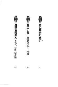 サムライガール～愛しさと切なさと, 日本語