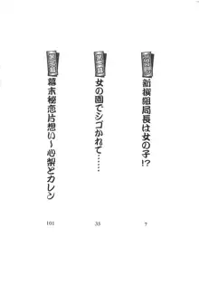 乙女♥新撰組, 日本語