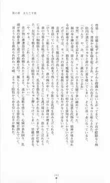 魔術師とアルカナの化身, 日本語