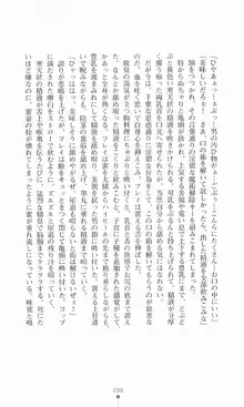 魔術師とアルカナの化身, 日本語