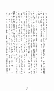 魔法戦士シンフォニックナイツ, 日本語