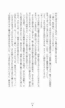 魔法戦士シンフォニックナイツ, 日本語