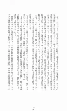 魔法戦士シンフォニックナイツ, 日本語