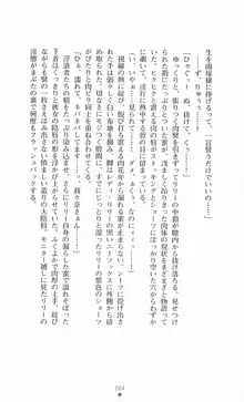 魔法戦士シンフォニックナイツ, 日本語