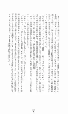 魔法戦士シンフォニックナイツ, 日本語