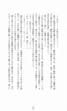 魔法戦士シンフォニックナイツ, 日本語