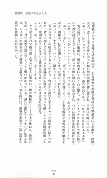 魔法戦士シンフォニックナイツ, 日本語