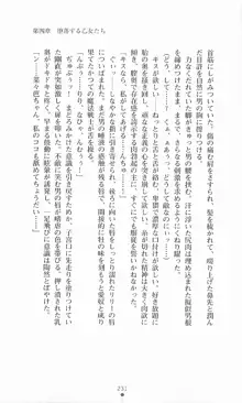 魔法戦士シンフォニックナイツ, 日本語