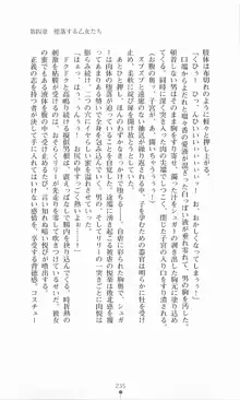 魔法戦士シンフォニックナイツ, 日本語