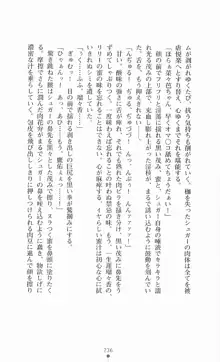 魔法戦士シンフォニックナイツ, 日本語