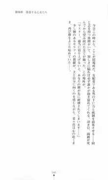 魔法戦士シンフォニックナイツ, 日本語