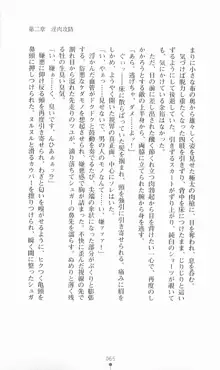 魔法戦士シンフォニックナイツ, 日本語