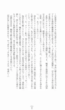 魔法戦士シンフォニックナイツ, 日本語