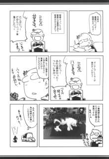 俺の夏2013, 日本語