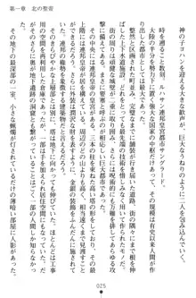 黒薔薇の騎士 聖帝ローザ, 日本語