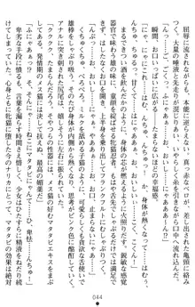 超昂閃忍ハルカ 堕ちたる上弦 淫辱の刃, 日本語