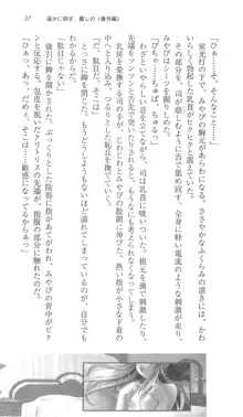 遥かに仰ぎ、麗しの 《番外編》, 日本語