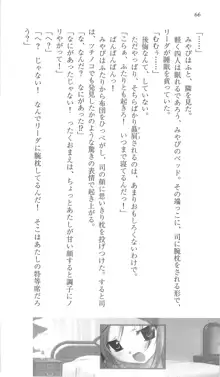 遥かに仰ぎ、麗しの 《番外編》, 日本語