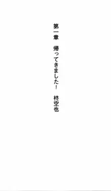 姉、ちゃんとしようよっ！上巻 立志編, 日本語