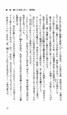 姉、ちゃんとしようよっ！上巻 立志編, 日本語