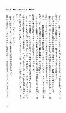 姉、ちゃんとしようよっ！上巻 立志編, 日本語