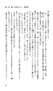 姉、ちゃんとしようよっ！上巻 立志編, 日本語