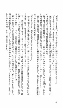 姉、ちゃんとしようよっ！上巻 立志編, 日本語