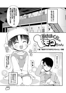 だきまくらのモコちゃん, 日本語