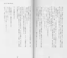 白の烙印Ⅱ, 日本語