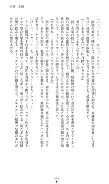 魔斬姫伝 退魔師たちの淫獄, 日本語