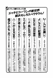 愛戦士マリア BLACKミッション1999, 日本語