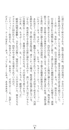 光臨天使エンシェル・レナ 淫辱の螺旋, 日本語