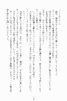 エロデレ2 完璧お嬢さまがときめく時, 日本語